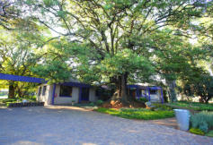 BigTreeBB Guest House and Conference Venue