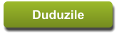 Duduzile Duduzile