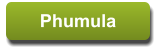 Phumula Phumula