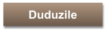 Duduzile