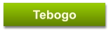 Tebogo