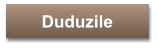 Duduzile