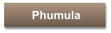 Phumula