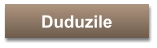 Duduzile