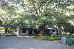 BigTreeBB Guest House and Conference Venue