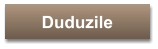 Duduzile